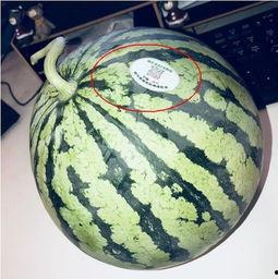 网红吃瓜的平台有哪些,盘点热门八卦聚集地