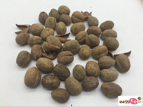 吃瓜爆料小巴豆,吃瓜爆料小巴豆带你探秘明星幕后故事