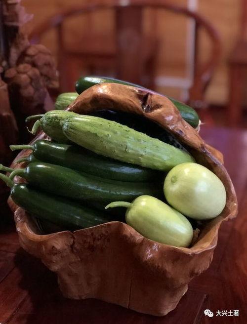 网红黄晓娜吃瓜,一场吃瓜盛宴背后的故事